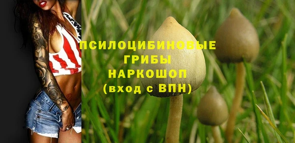 марки lsd Алексеевка